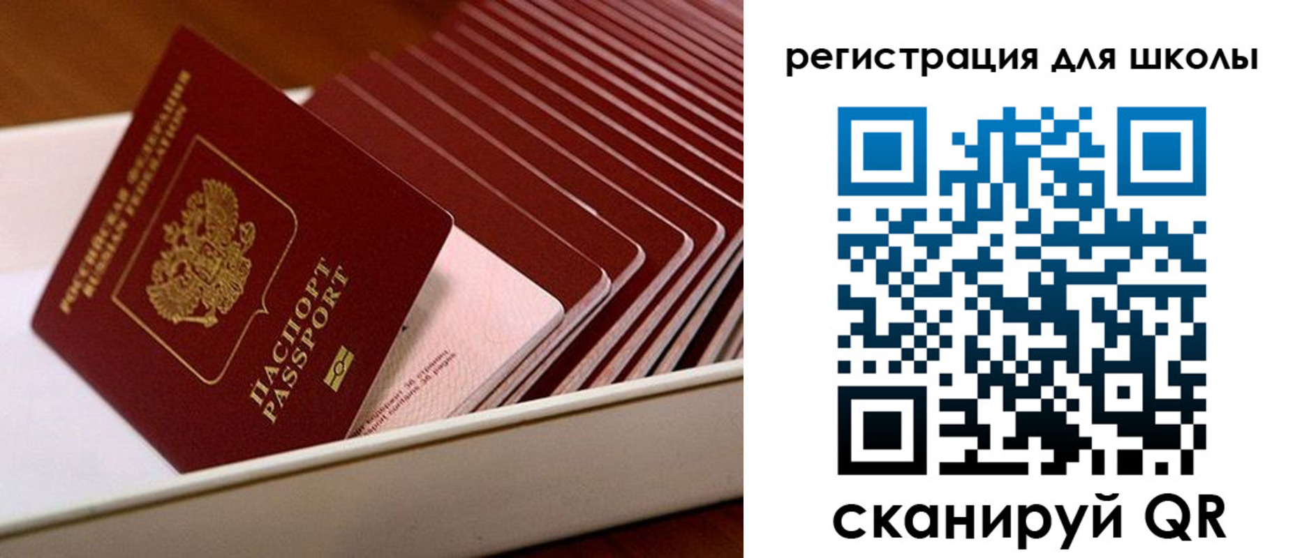 прописка гарантия в Козловке